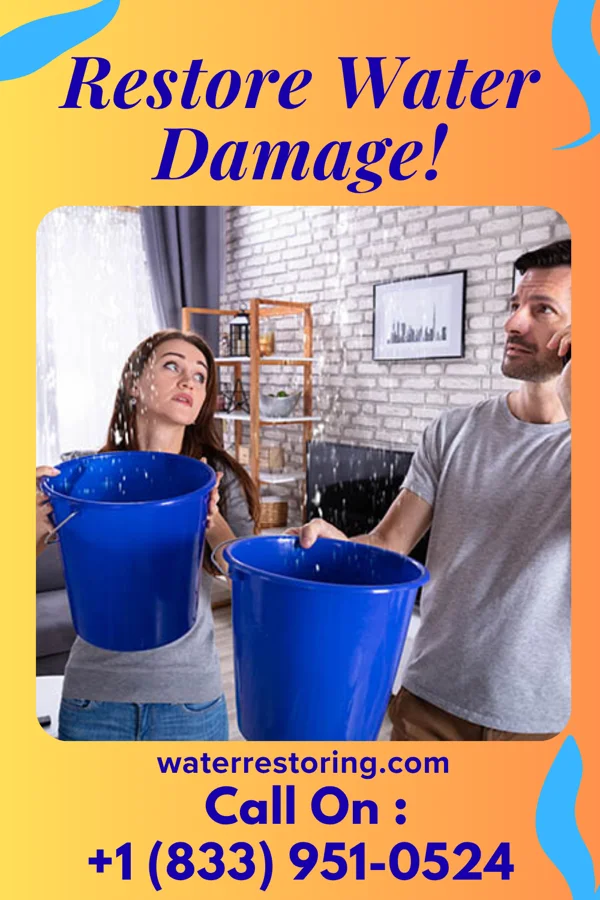 water restoration Reliable Sewage Cleanup Services Blandville