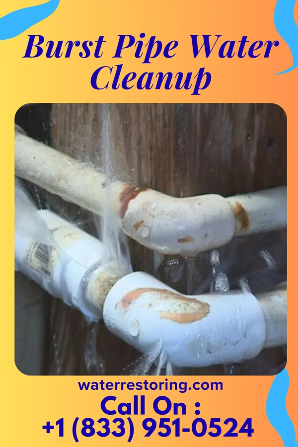 Burst Pipe Water Cleanup in Blandville, KY