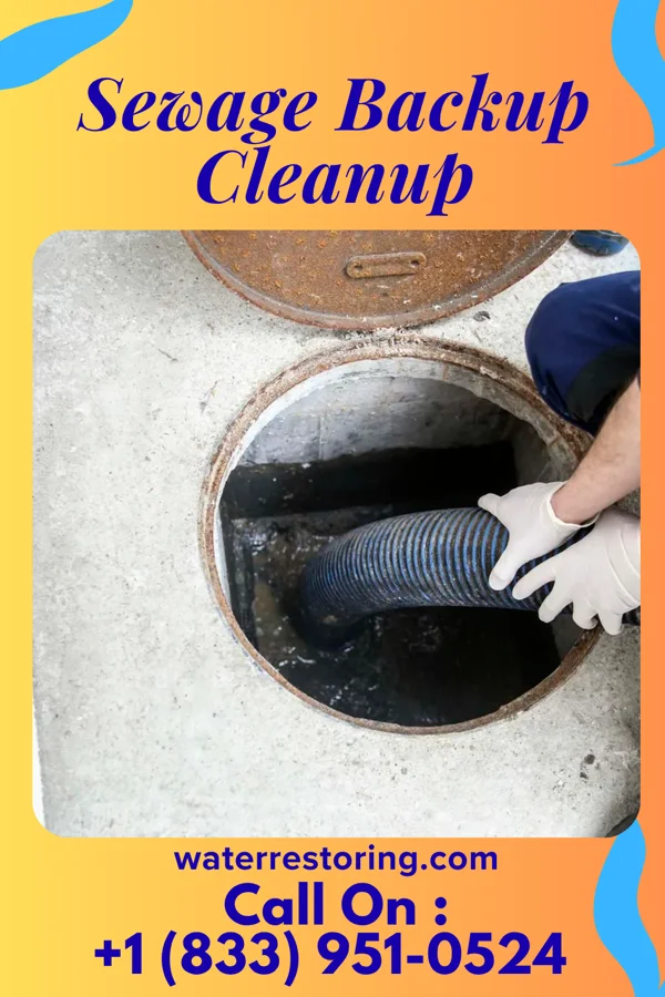 Sewage Backup Cleanup in Blandville, KY